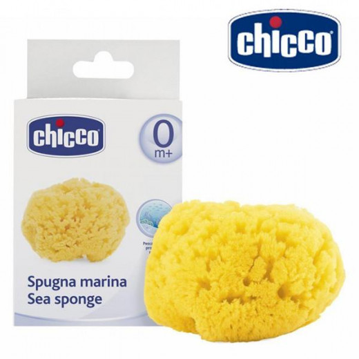 Chicco Sea Sponge- Medium