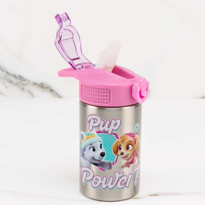 Zak Designs Paw Patrol 15.5oz Stainless Steel Kids Water Bottle with  Flip-up