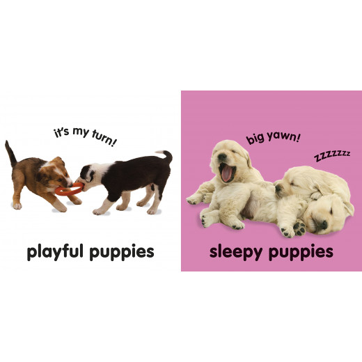 Baby Touch and Feel: Puppies, Board book, 14 Pages