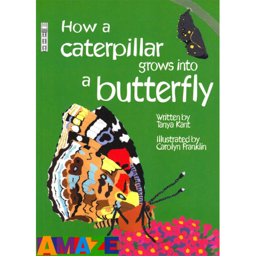 Caterpillar to Butterfly Children's Books