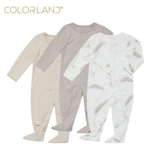 Colorland Long-Sleeve Baby Overall 3 Pieces In One Pack 3-6 Months
