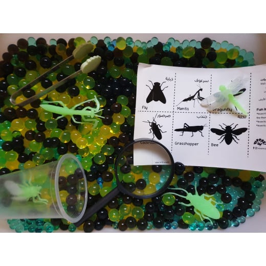 YIPPEE! Sensory Insect Orbeez by Mama Sima