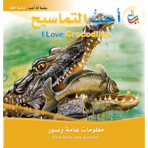 I Love Series - I love Crocodiles - 24 Pages - 28x28