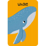 Miles Kelly - Snap Cards, Under Sea