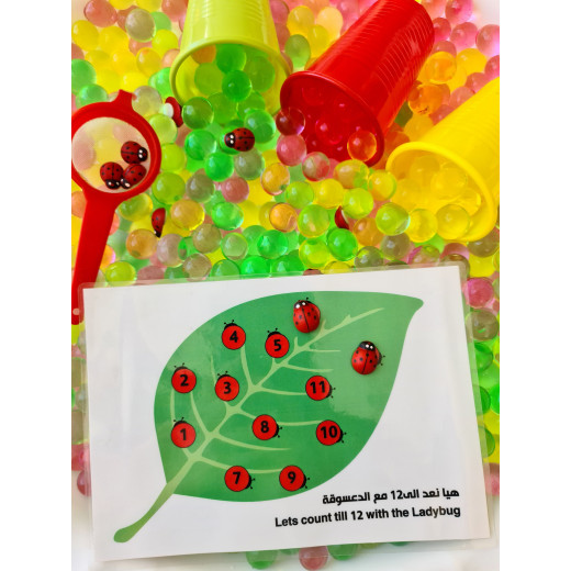 YIPPEE! Sensory Ladybug Orbeez Kit