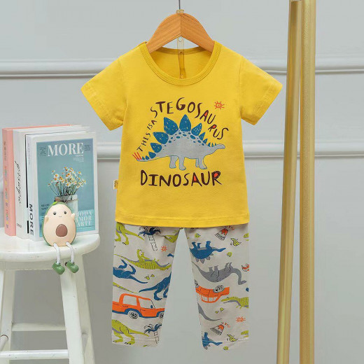 Pajama Set Half Sleeve T-shirt And Long Pants Dinosaur Design 6-12 Month