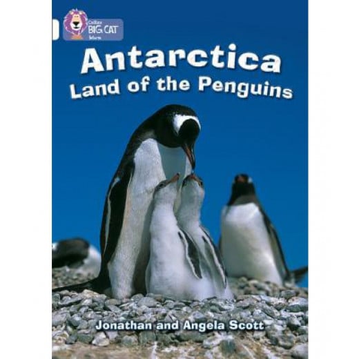 كتاب أنتاركتيكا: أرض البطاريق: الفرقة 10 / أبيض  كولينز