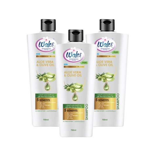 Wales Plus Shampoo Aloe Vera & Olive Oil, 3 Pcs, 700ml