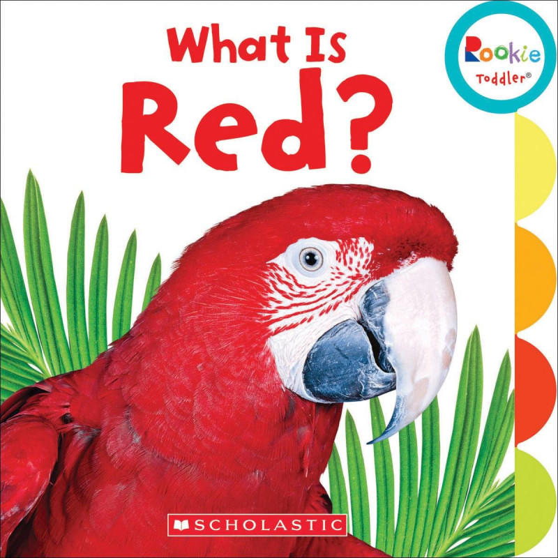 scholastic-what-is-red-book-scholastic-jordan-amman-buy-review