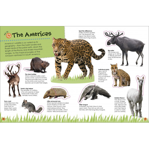 كتاب: الحيوانات اللانهائي مع ملصقات من دي كي