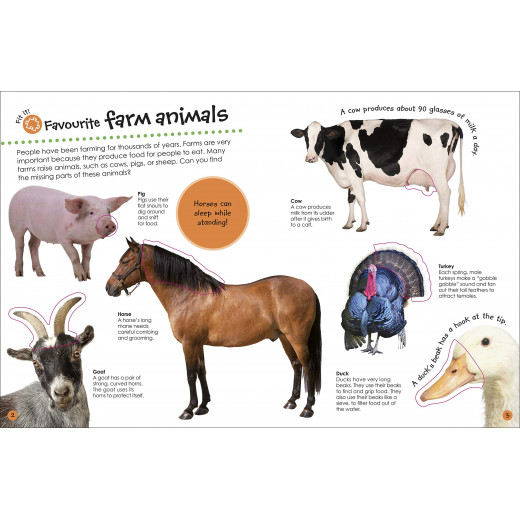 كتاب : حيوانات المزرعة مع ملصقات  من دي كي