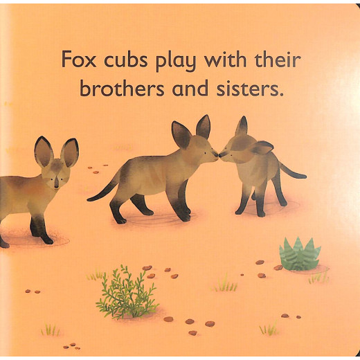 DK Books Publisher Book: ( F ) Is For Fox