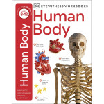 كتاب تعليمي: جسم الانسان من كتب دي كي للنشر