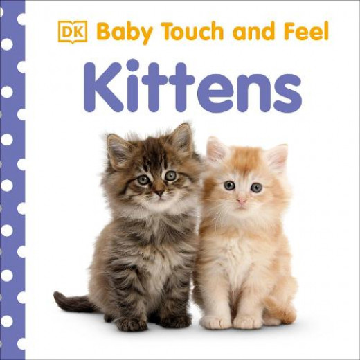 DK Baby Baby Touch and Feel Kittens Board book