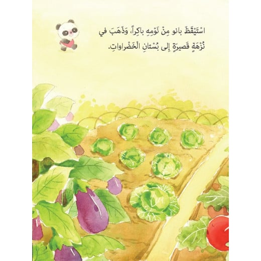 Dar Al Manhal Stories: Little Panda Series: 08 The Vegetable Orchard