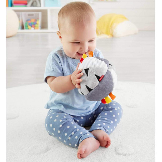 Fisher-Price 2 in 1 Have a Ball Hippo