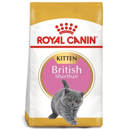 Royal Canin Kitten British Shorthair, 2 Kilo
