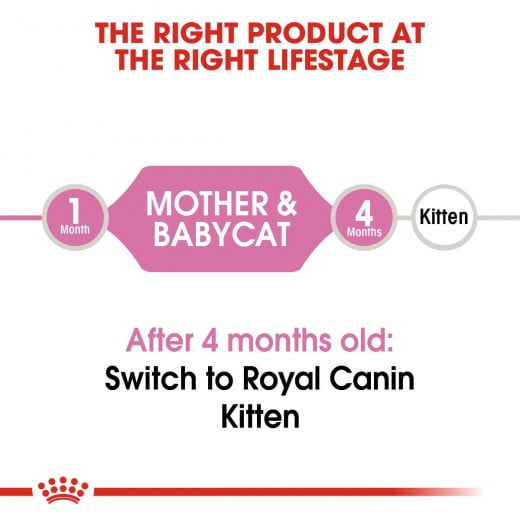 Royal Canin Mother And Baby Cat Food, 2 Kg