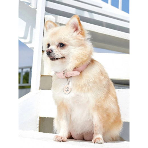 Petsin Pet Collar, Pink Color, Large Size