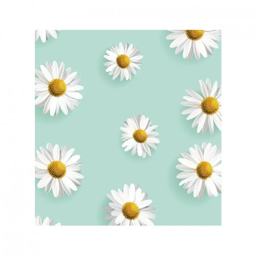 عبوة مزدوجة من حفاضات عضوية، تصميم أزهار الربيع, مقاس 4 ، 7-12 كجم, 48 قطعة من بيور بورن