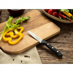 Cutting Boards for Kitchen, Kaloo Plastic Cutting Boards Set of 3, Large  Medium