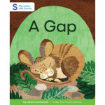 A Gap: My Letters and Sounds Phase Two Phonics Reader