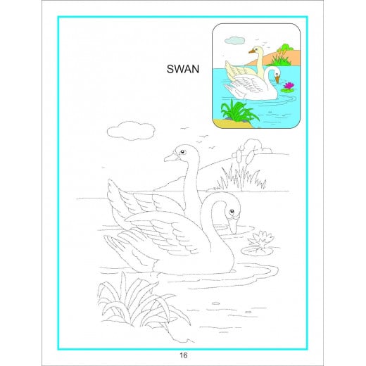Dreamland | Creative Coloring Book | Water Animals