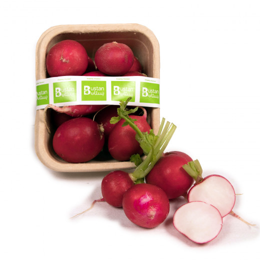Red Radishes Bunch, 500-600 Gr